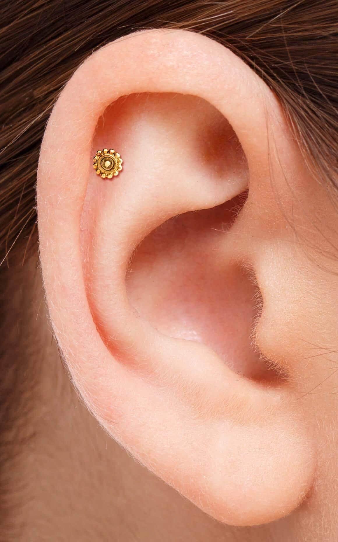 A close-up view of a person's ear, showing a small gold earring in the earlobe.