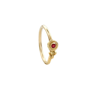 Indian Style Nose Ring: A gold ring with a red gemstone, possibly a ruby, set in the center.