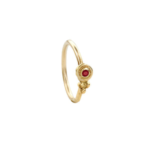 Indian Style Nose Ring: A gold ring with a red gemstone, possibly a ruby, set in the center.