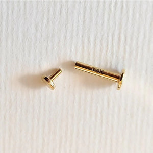 a small gold-colored screw and a small gold-colored bolt on a white surface.