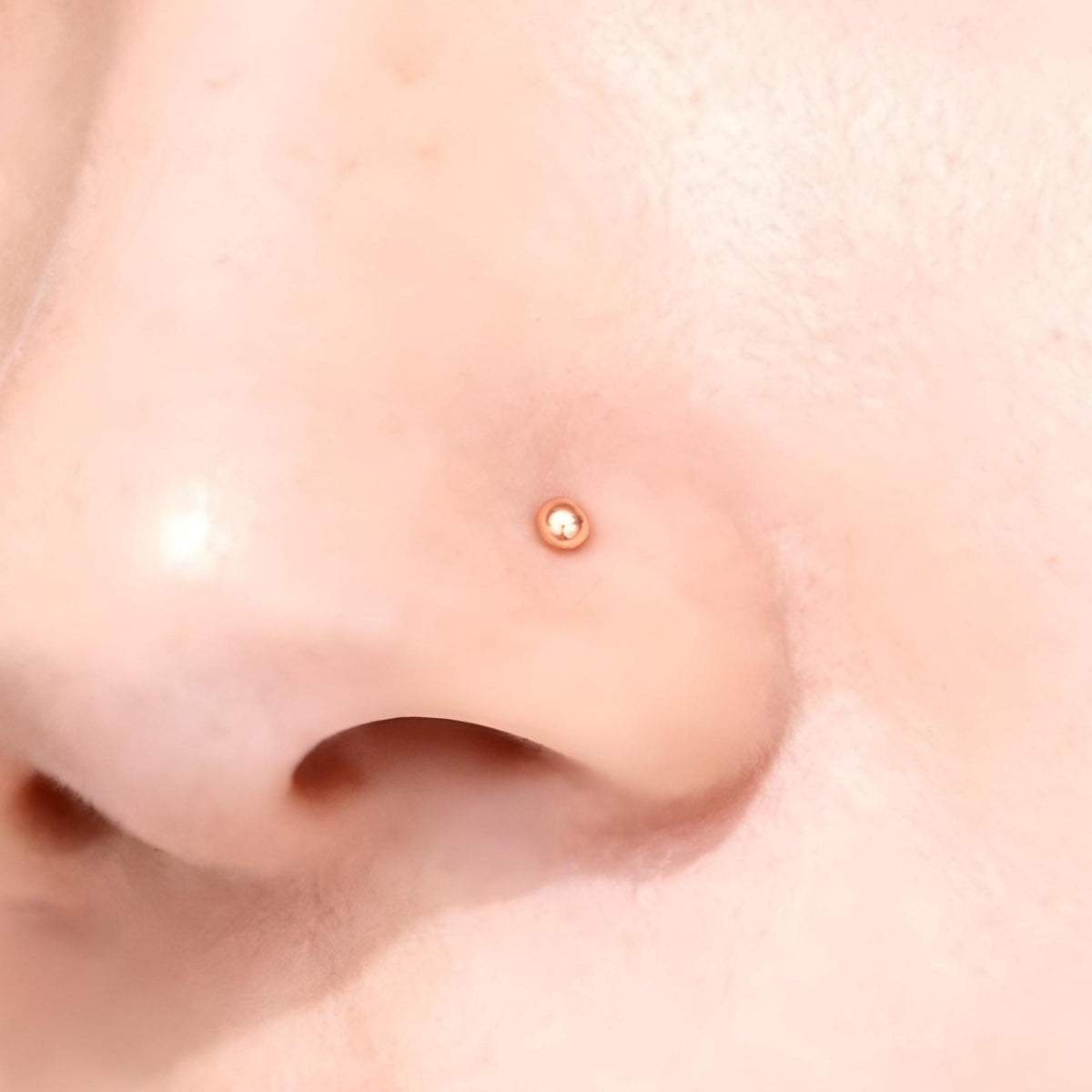 A close-up image of a person's nose with a small, round gold-colored stud or piercing in it.