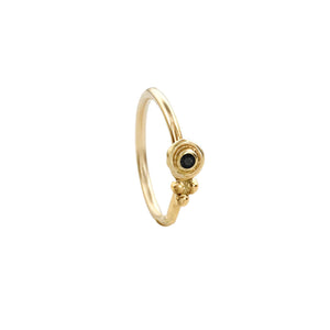 Black Diamond Nose Hoop: A gold ring with a black gemstone, possibly a diamond, set in the center.