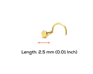 14k Solid Gold Miniature Disk Nose Stud Jewelry - Tina